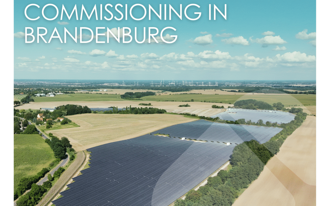 Eine Drohnenaufnahme einer Solaranlage umgeben von Feldern und Bäumen