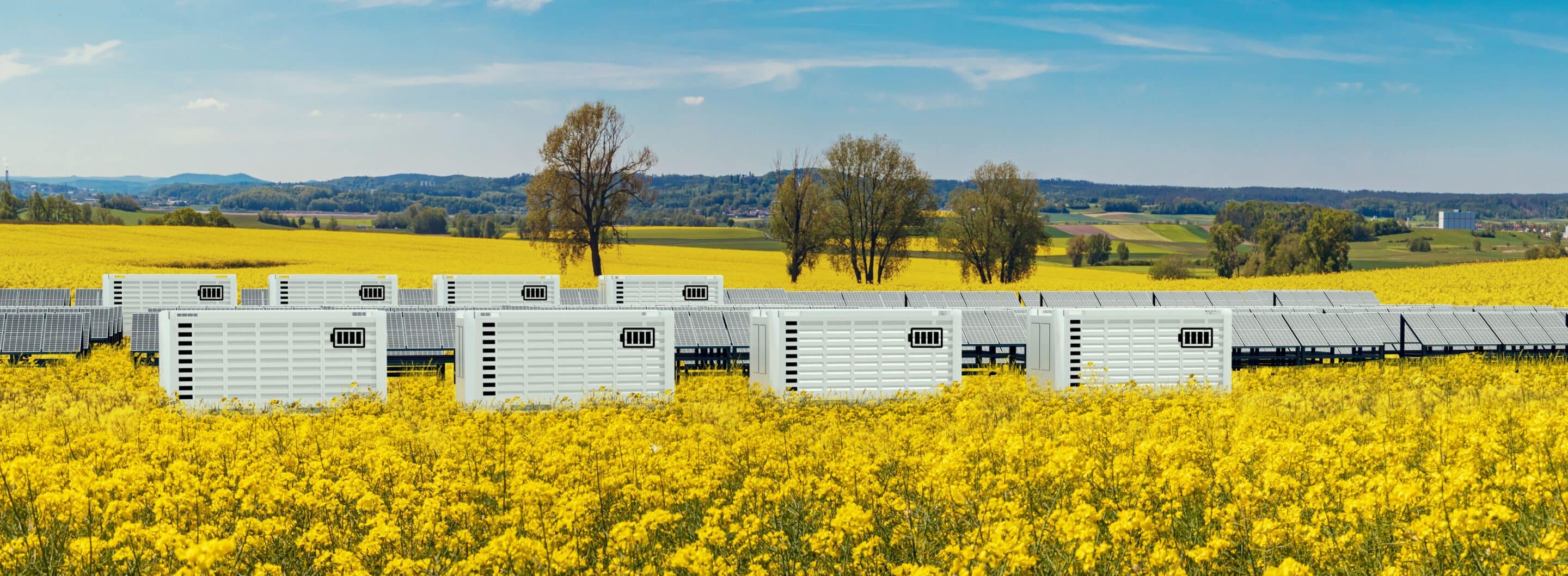 Philosophie und Werte bei greentech
