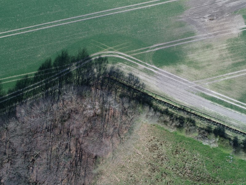 Aerial view for shading analysis of an open field, showing the long shadows cast by trees on the field.